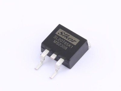 SL20T65K1-白