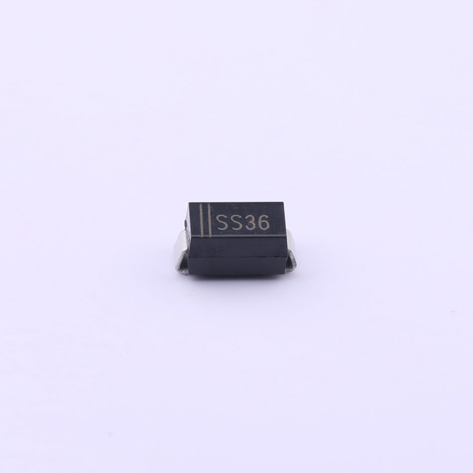SS36-白