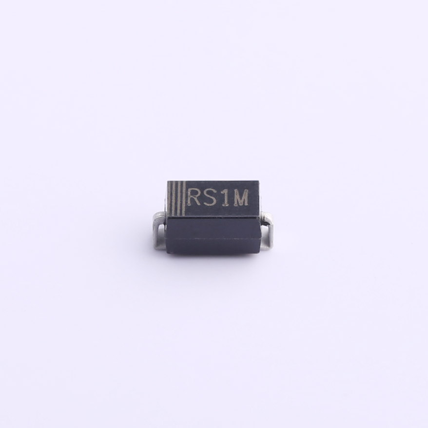 RS1M-白