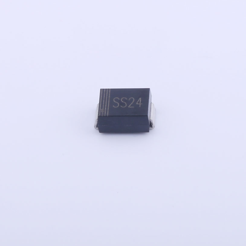 SS24B-白