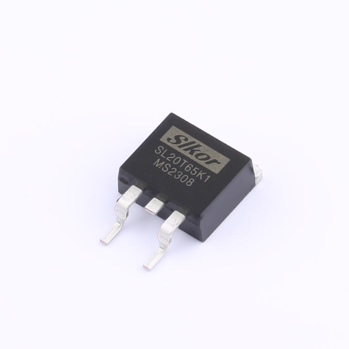 SL20T65K1-白